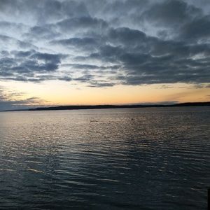 Meet your Posher, Kat